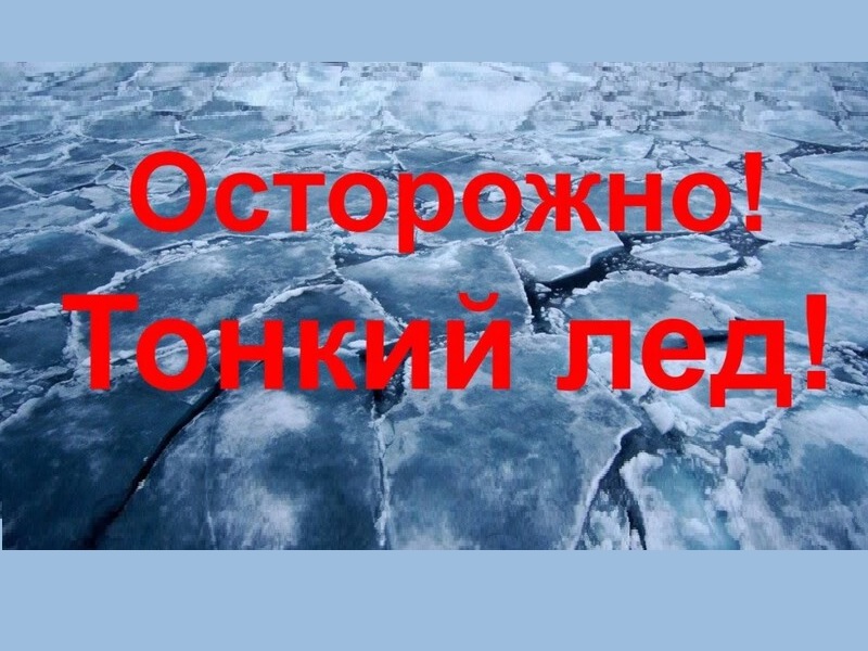 С начала 2025 года года на водоёмах Новгородской области погибли четыре человека..