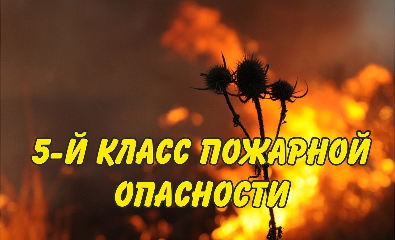 5 класс пожароопасности.